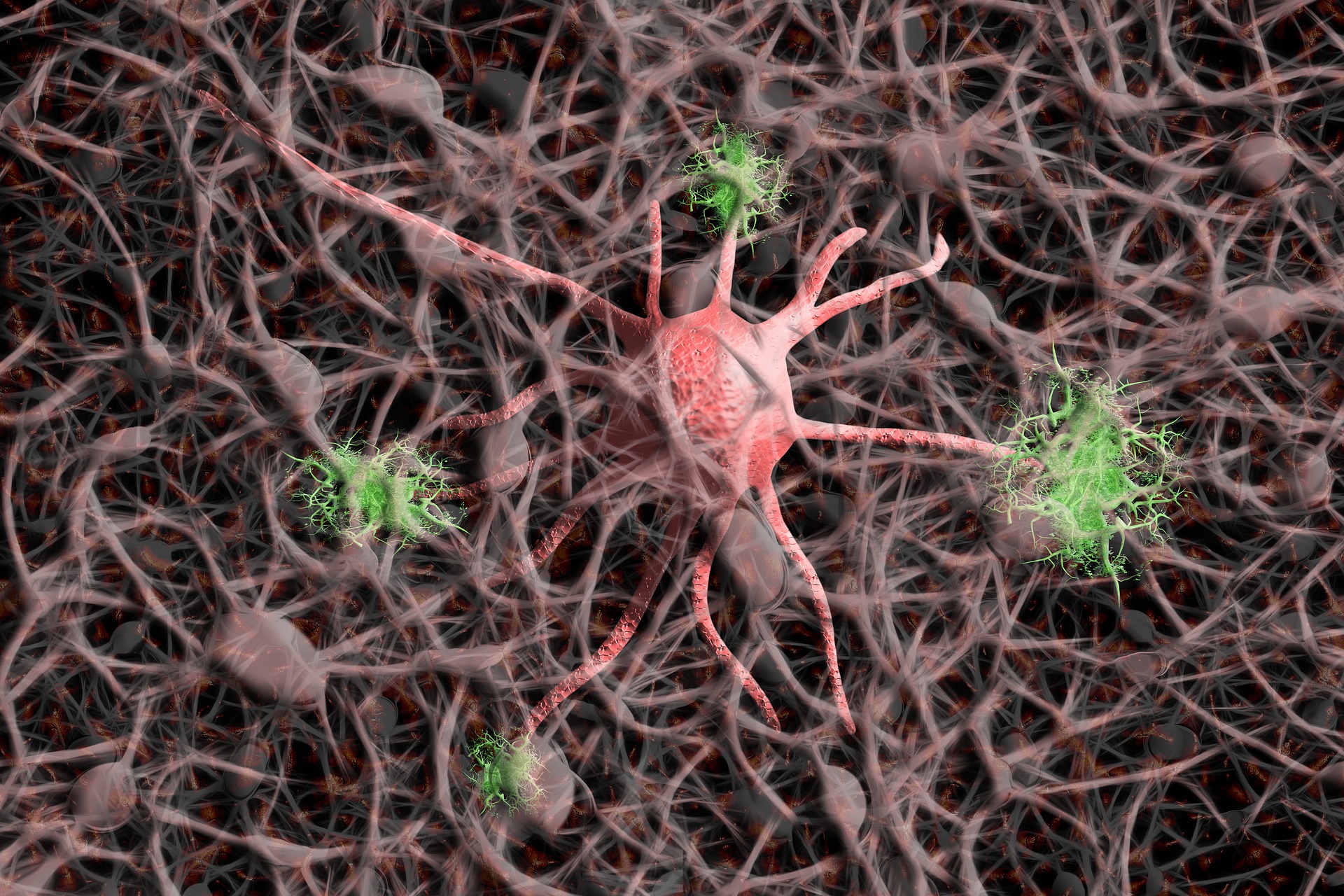 Právě si prohlížíte Souvislost mezi znečištěním ovzduší a rozvojem Alzheimerovy choroby